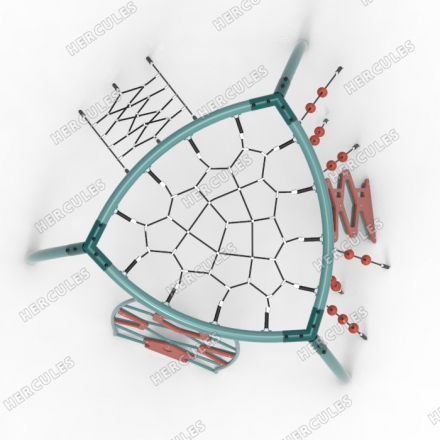 Био-клетка (комплекс для лазания), фото 4