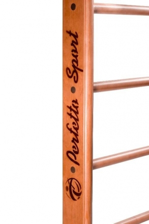 Детский спортивный комплекс (ДСК) &quot;Perfetto sport&quot; Viva PS-104, фото 2