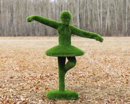 Топиари балерина Диана - газон Deluxe, фото 4