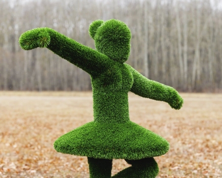 Топиари балерина Диана - газон Deluxe, фото 5