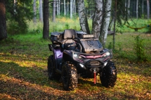 Квадроцикл AODES Pathcross MAX 1000 LTD Квадроцикл AODES Pathcross MAX 1000 LTD