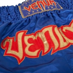 Тайские Шорты Venum ventshorts05, фото 3