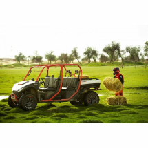 Багги Segway UTV Fugleman UT10 CREW PREMIUM Багги Segway UTV Fugleman UT10 CREW PREMIUM