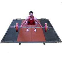 Помост тренировочно-разминочный (В3) DHS Olympic (260х260х4)