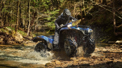 Квадроцикл YAMAHA Grizzly 700 EPS STD (ПСМ), фото 6 Квадроцикл YAMAHA Grizzly 700 EPS STD (ПСМ), фото 6