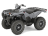Квадроцикл YAMAHA Grizzly 700 EPS STD (ПСМ)