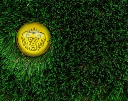 Топиари Композиция гусары - газон Deluxe, фото 3