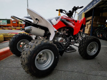 Квадроцикл MOTOLAND 250S Pro