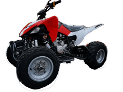 Квадроцикл MOTOLAND 250S Pro, фото 1