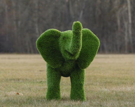 Топиари слоник Антошка - газон Premium, фото 3