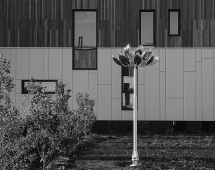 Скульптура из нержавеющей стали Лотос Увеличенный размер