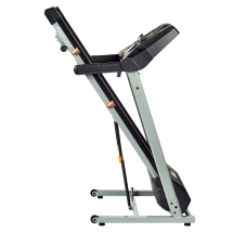 Беговая дорожка электрическая Royal Fitness RF-2, PROT-205