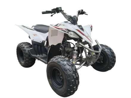 Квадроцикл MIKILON Rapide 120 EFI, фото 1