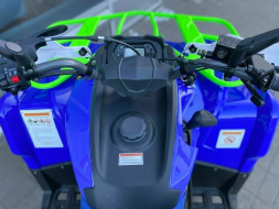 Квадроцикл IRIDE 200 ROVER, фото 7