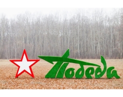 Топиари стела Победа со звездой I - газон Eco, фото 3
