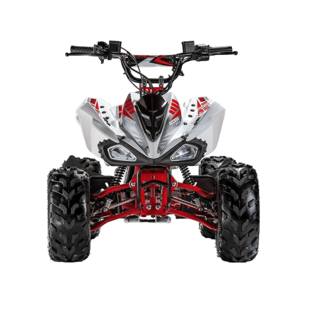 Квадроцикл ACCESS AMS 110 MiniSport, фото 2