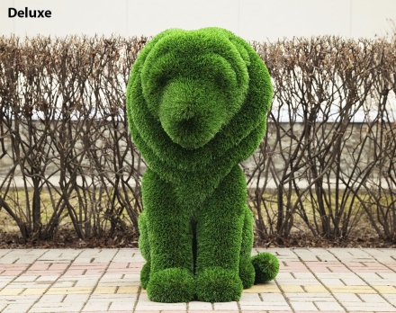 Топиари лев Томас, h=110см, фото 2