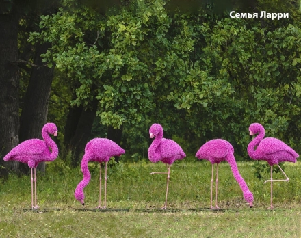 Топиари композиция фламинго розовый, семья Ларри, 5 шт - газон Eco, фото 1