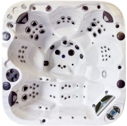 СПА бассейн Coast Spas Apex Elite, фото 1