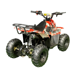 Квадроцикл MZ Grizzly 110, фото 7 Квадроцикл MZ Grizzly 110, фото 7