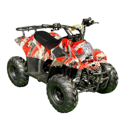 Квадроцикл MZ Grizzly 110, фото 2 Квадроцикл MZ Grizzly 110, фото 2