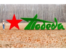 Топиари стела Победа со звездой II - газон Eco, фото 4