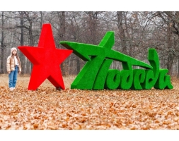 Топиари стела Победа со звездой II - газон Eco, фото 3
