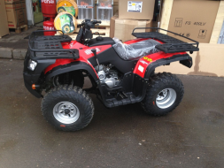 Квадроцикл ARMADA ATV 250L, фото 5