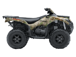 Квадроцикл BRUTE FORCE 750 4X4I EPS Camo (ПСМ), фото 2