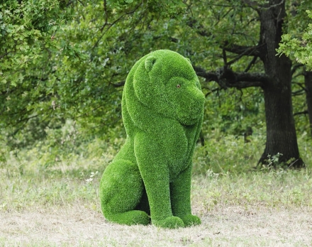 Топиари лев Гри - газон Eco, фото 1