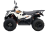 Квадроцикл KAYO AU300 Carb