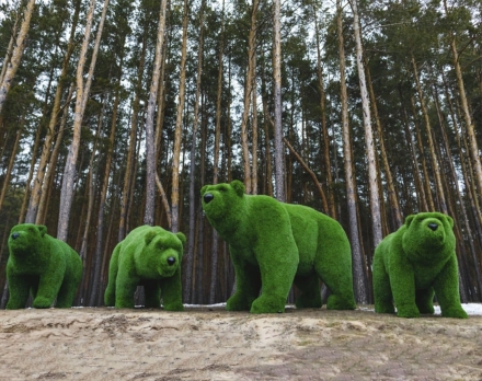 Топиари композиция медведи, 4 шт - газон Premium, фото 1