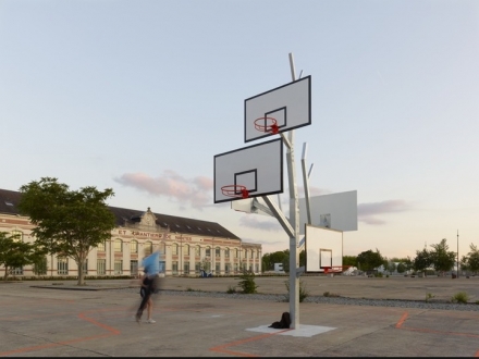 Мультищит для баскетбола Дерево, фото 1