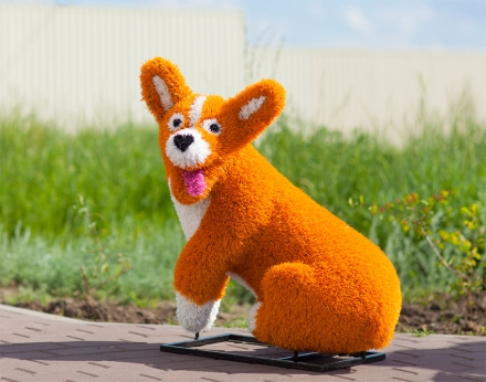 Топиари "Корги мультяшный", фото 1