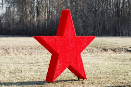 Топиари стела Победа со звездой - газон Eco+, фото 4