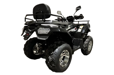Квадроцикл RATO 200 LD Premium GT, фото 3