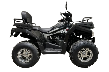 Квадроцикл RATO 200 LD Premium GT, фото 2