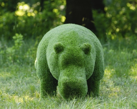 Топиари Бегемот - газон Premium, фото 3