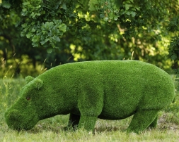 Топиари Бегемот - газон Premium, фото 2