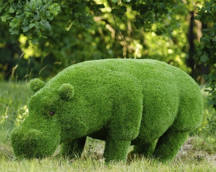 Топиари Бегемот - газон Premium, фото 1