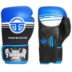 Перчатки боксерские FLAMMA TERMINATOR 2.0, фото 1