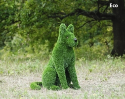 Топиари собака Барбос - газон Eco, фото 1