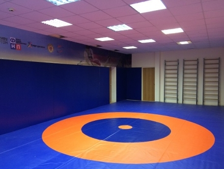 Борцовский ковёр 12х12м,Трёхцветный, маты НПЭ плотностью 140 кг/м3(маты + покрытие), фото 1