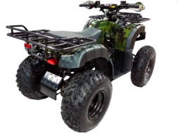 Квадроцикл WELS Thunder 200, фото 4