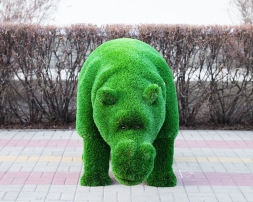 Топиари Бегемот Чипо - газон Deluxe, фото 2