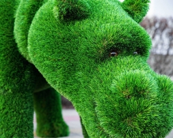 Топиари Бегемот Чипо - газон Deluxe, фото 4