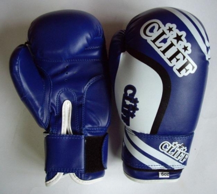 Перчатки бокс CS-550 3 STAR (DX) 10 oz синие, фото 1