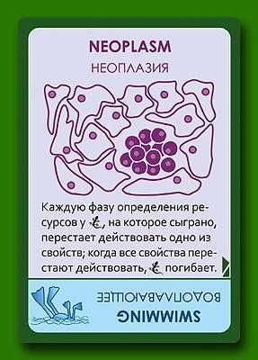 Эволюция: Континенты, фото 4