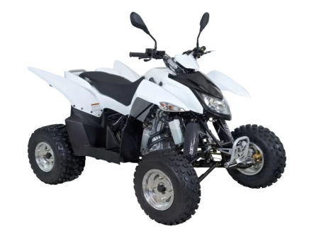 Квадроцикл SYM QuadRaider 300 SS, фото 2