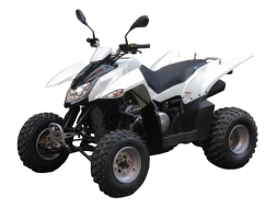 Квадроцикл SYM QuadRaider 300 SS, фото 1 Квадроцикл SYM QuadRaider 300 SS, фото 1
